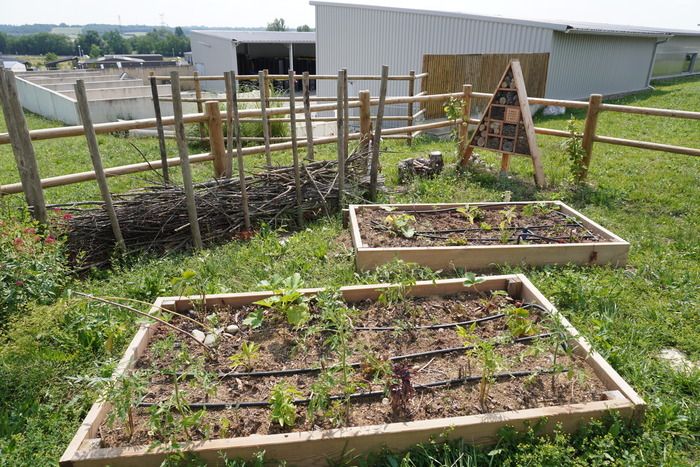 Anhand konkreter Beispiele erfahren Sie, wie Sie Ihre Grünabfälle für eine 100% natürliche Gartenarbeit verwerten und so Ihren Abfall reduzieren können.