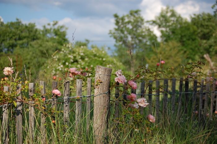 TAKTILE UND BESCHREIBENDE BESICHTIGUNG