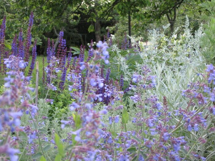 Anlässlich der Rendez-vous aux jardins entdecken Sie den Garten Saint-Odilon und seinen großen «Gemüsegarten» mit Stauden, darunter ein Bereich für Heilpflanzen, nicht zu vergessen Bäume und Rosen.