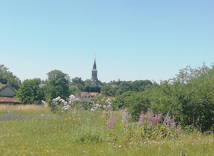 Sie können den Garten frei besuchen, um etwa vierzig aromatische und medizinische Pflanzen zu entdecken, sowie die Trocknungs- und Verarbeitungswerkstatt der Pflanzen. Kleine Spiele für Sie...