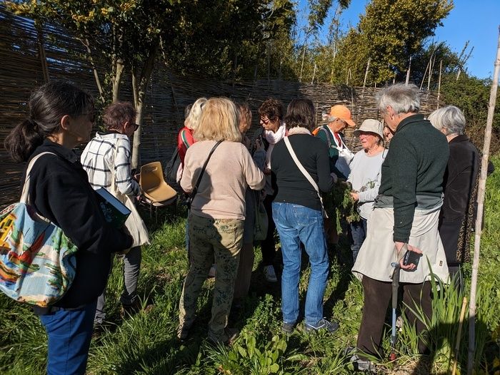 Eine Stunde lang führt Sie eine Person, die für den Garten verantwortlich ist, auf den Wegen, die sich durch den Ort schlängeln. Sie umgehen die Gruppen der jungen Plantagen, die Gilden der Micocoulie