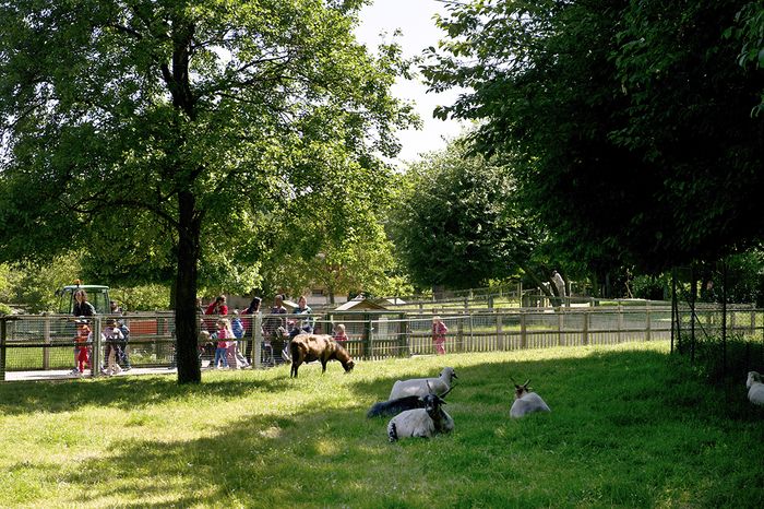 Der Bauernhof Chanteraines bietet Ihnen eine festliche Zeit während einer Kermesse.