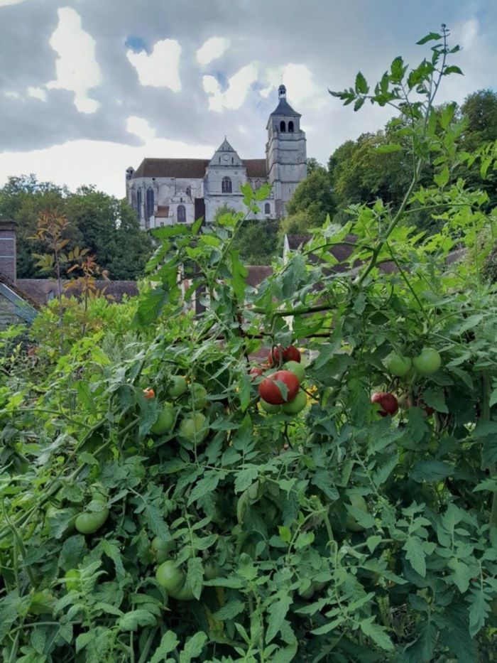 Anlässlich des Rendezvous in den Gärten 2024 entdecken Sie diesen Ziergarten, Gemüsegarten und Pfarrgarten.