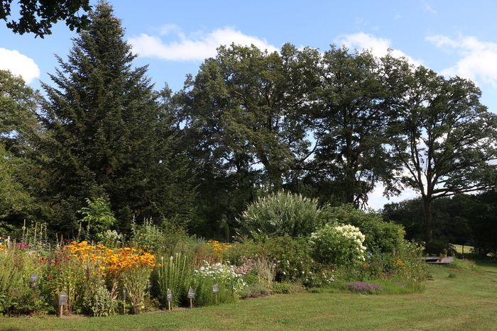 Führung durch den Garten durch den Eigentümer/Gärtner (ca. 2h) und Verkauf von Pflanzen.