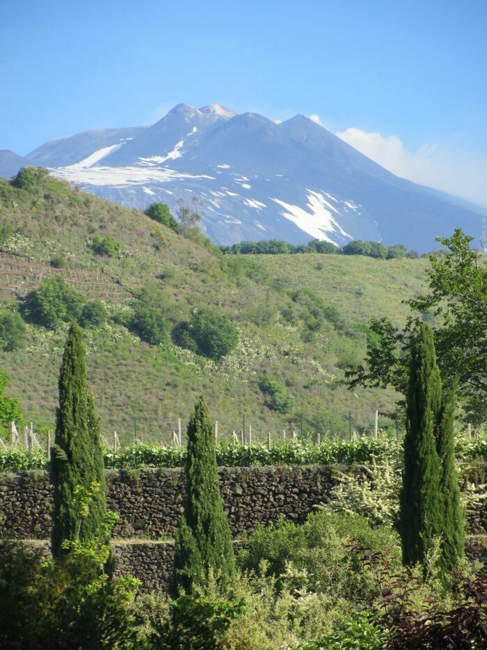 The visit is curated by the owners and the gardener and will end with small tastings and tasting of Nerello mascalese of our production.