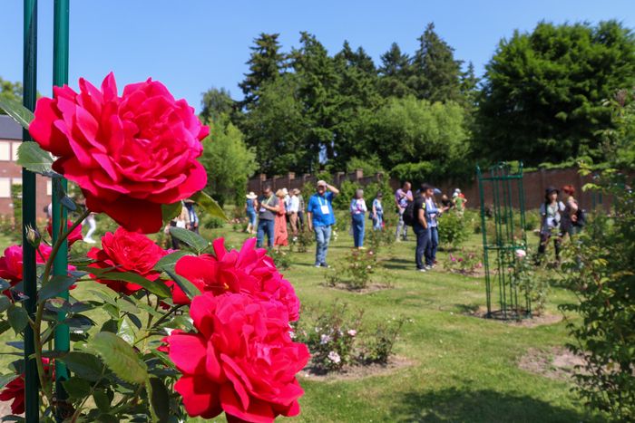 Im Rahmen der Organisation des Wochenendes "Parks und Gärten der Wallonie" werden kostenlose Führungen organisiert. Es ist keine vorherige Reservierung erforderlich. Der Zugang zu den Gärten ist...