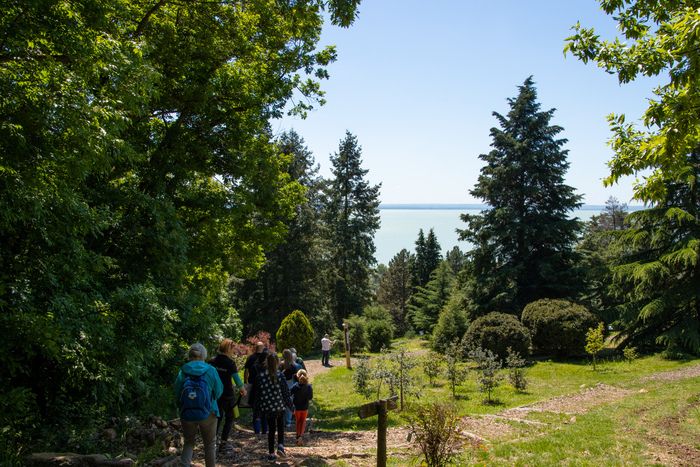 Begleiten Sie uns auf einem geführten Spaziergang und erfahren Sie mehr über die Geschichte und Kuriositäten unseres Arboretums! Am 31\. Mai und am 1\. Juni gibt es zwei kostenlose Führungen im Garte…