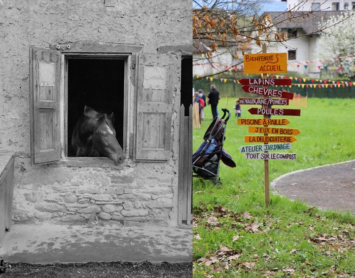 Entdecken Sie die Tiere im Museumspark: Schafe, Hühner, Kaninchen, Ponys... Genießen Sie mehrere "Natur" Räume für Kinder, Familien und Gruppen.