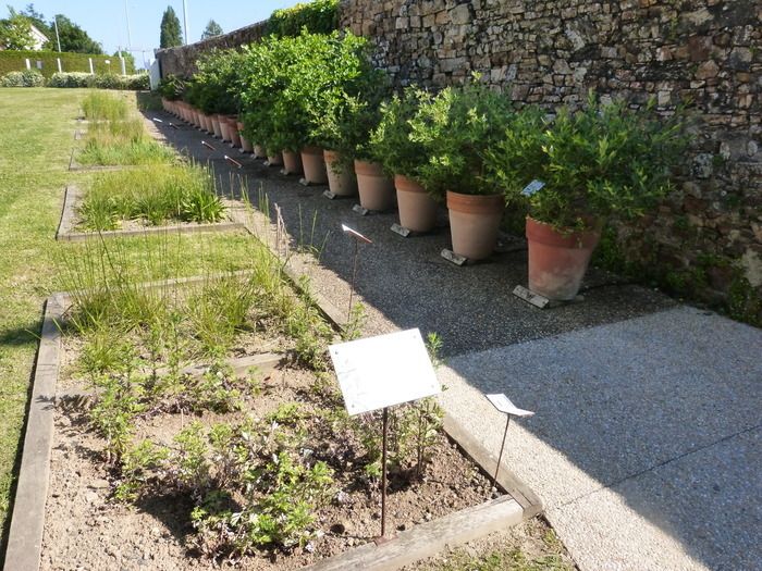 Geführte Besichtigung des Pollinariums© im Herzen des Gartens des Textil- und Modemuseums von Cholet.