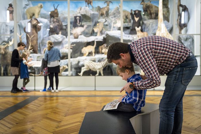 Pour le week-end des Journées Européennes du Patrimoine, (re)découvrez gratuitement le Musée d’histoire naturelle de Lille.