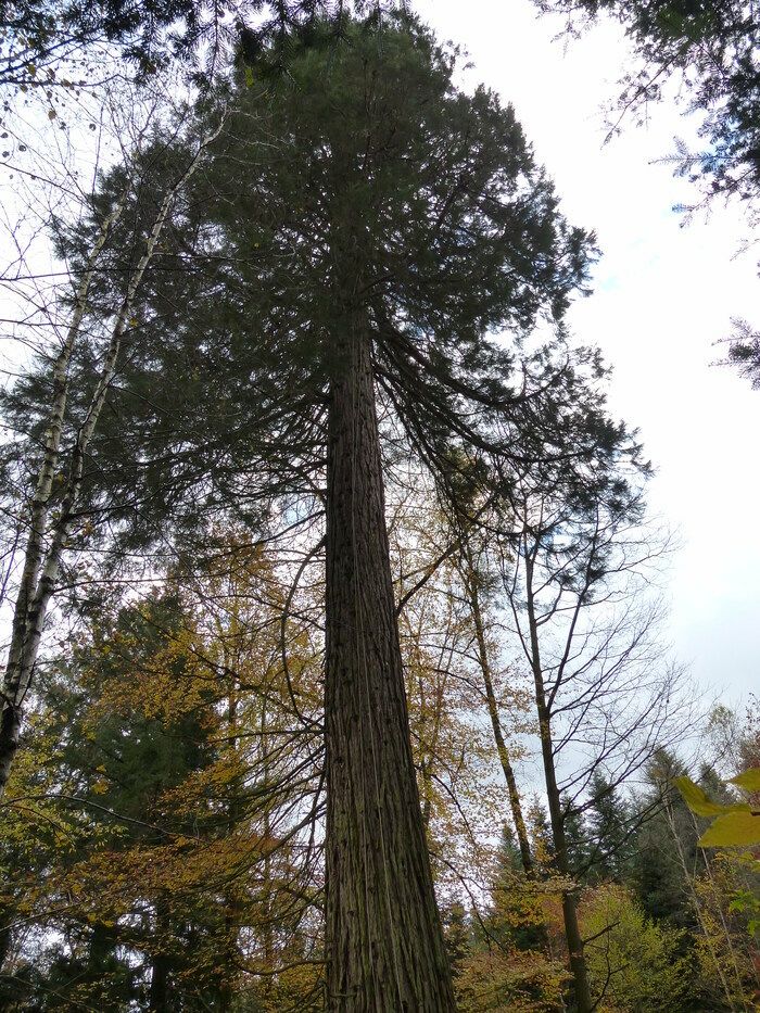 Das Arboretum ist das ganze Jahr über geöffnet.