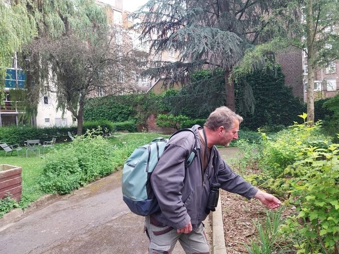 Le MHN fait le mur à la médiathèque des Bois-blancs