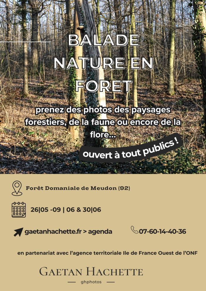 En partenariat avec l'Agence Territoriale Ile de France Ouest de l'Office National des Forêts, Gaëtan Photographe accompagnateur vous propose un programme thématique de sorties photos nature.