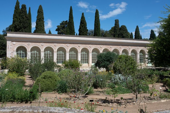 Der Jardin des Plantes de Montpellier, der älteste in Frankreich, ist seit seiner Gründung ein Ort, der dem Unterricht gewidmet ist, vor allem für Studenten der Medizin und der Pharmazie sowie für...