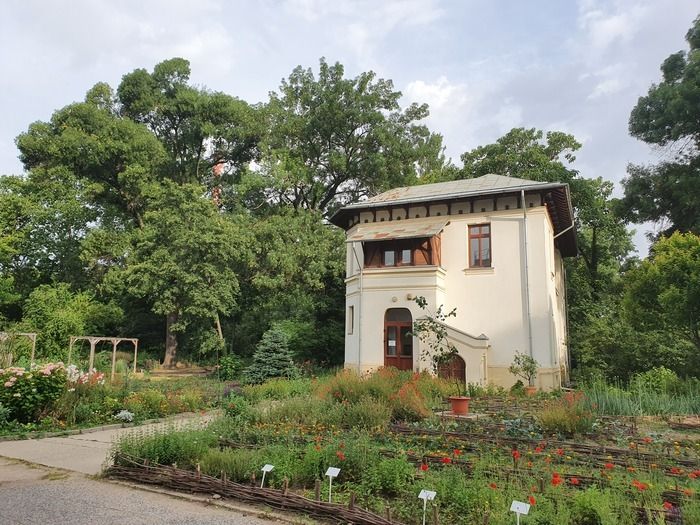 Der Garten der Großmutter ist das Symbol des traditionellen rumänischen Gartens. Es zeigt die große Vielfalt der Pflanzen, die häufig in ländlichen Gärten angebaut werden. An diesem besonderen Ort fi…