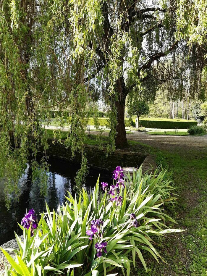 Ein Garten wird mit Augen, Nase, Ohren, manchmal Mund und oft Füßen und Händen besucht.