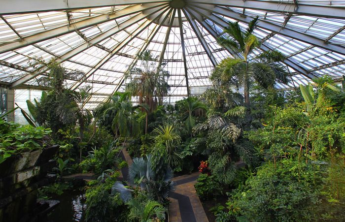 Umgeben von 7 ha Grün im Herzen von Nizza, beherbergt der Phoenix Park 2.500 Pflanzenarten in einer mediterranen Landschaft. Sein pyramidenförmiges Gewächshaus, genannt "der Diamant v...