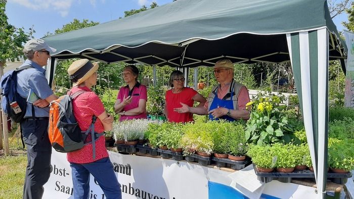 Rund um den Duft- und Würzgarten am Bauernmuseum Haus Saargau versammeln sich für ein buntes Programm mit Ausstellung, Vorträgen und vielen weiteren Informationen alle Gartenbegeisterten der Region.