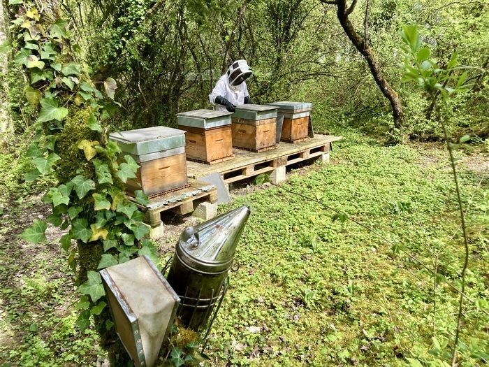 Visite du Rucher de ville puis du Rucher de Forêt - Dégustation de miel à la fin de la visite. découverte de la méthode de travail artisanale.