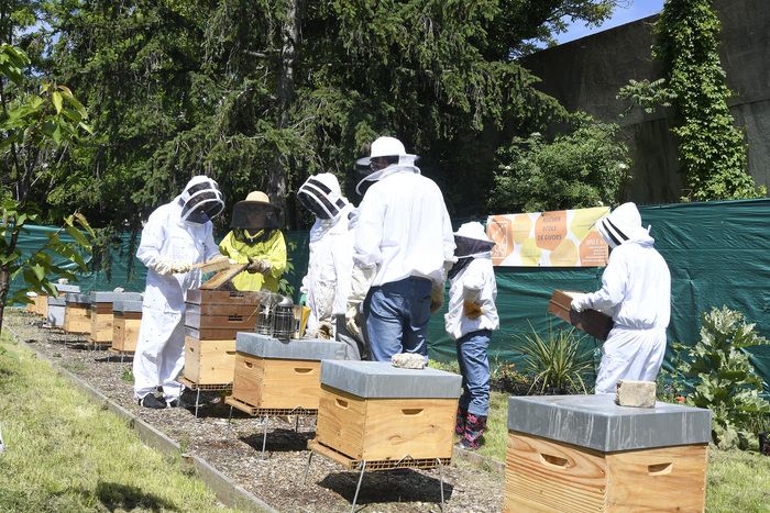 Initiez vous à l'apiculture ! Venez rencontrer les apiculteurs et les apicultrices ! Venez vous renseigner sur les formations (initiation et perfectionnement) organisées par le rucher école de Givors.