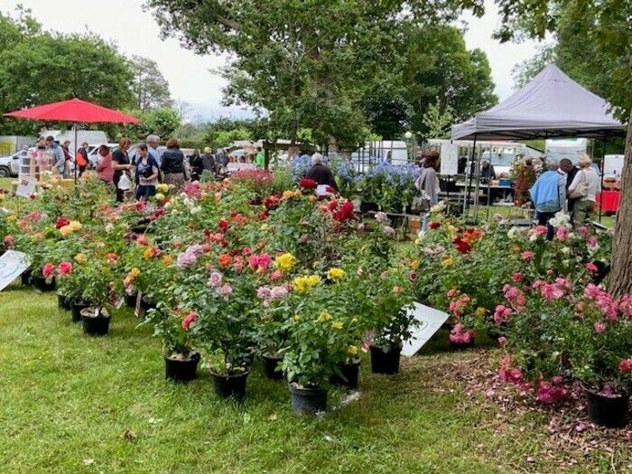 Markt für Pflanzen und Gartendekorationen mit über 40 Ausstellern. Dieser Moment des Austauschs und der schönen Entdeckungen kann von vielen Besuchern genossen werden. Seit 2016, das ...