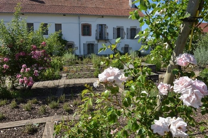 Entdecken Sie mehr als hundert medizinische, ornamentale und aromatische Sorten unseres Pfarrgarten, ehemaliger Lebensraum der Pächter der Familie Gustave Courbet.