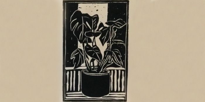 Venez vous initier à la linogravure à la bibliothèque  ---