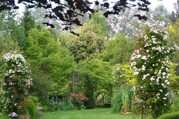 Der 2 ha große Garten ist eine Reihe von englischen Massiven, in denen sich Bäume von Ausnahmen, Sträucher (750), Stauden, Gräser, alte und moderne Rosen (350) um eine restaurierte Wassermühle...