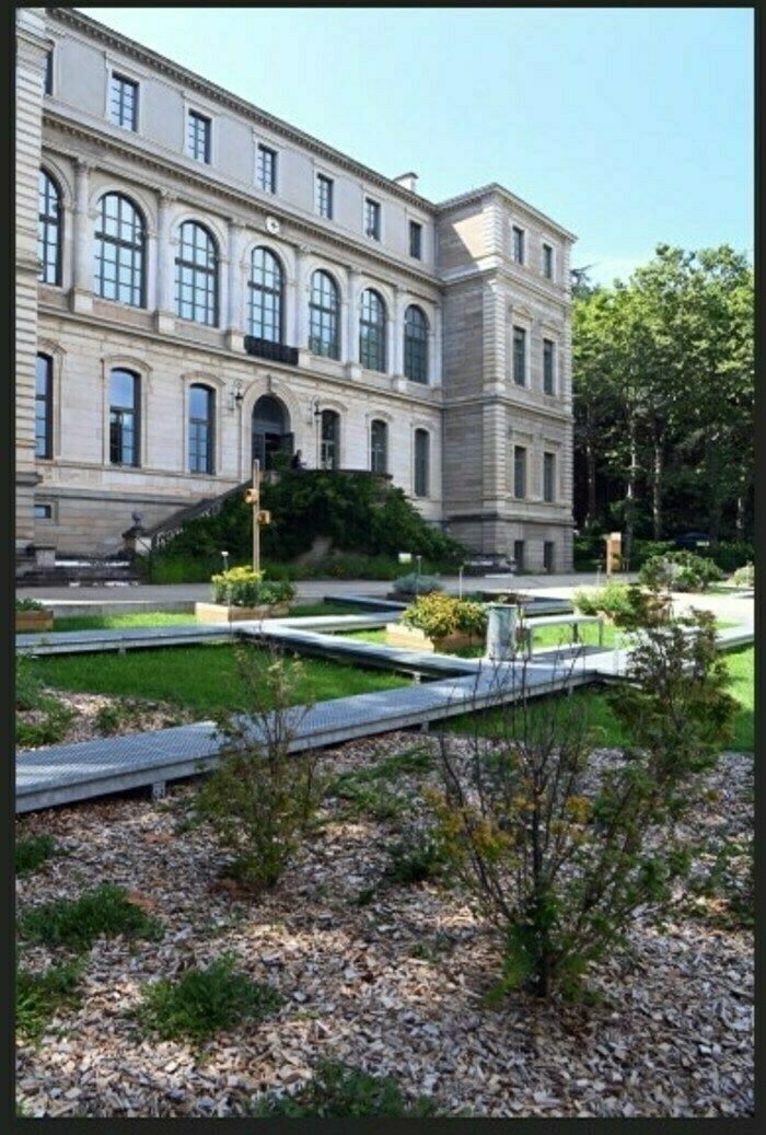 Kostenloser Besuch des Farbengartens um 10:15 Uhr im Museum für Kunst und Industrie im Rahmen des "Rendezvous in the Gardens"