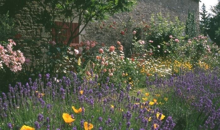 Rendez-vous aux jardins 2023