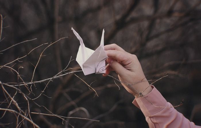 Origami : C'est la fête des arbres ! Viens plier des feuilles et créer ton pop-up.