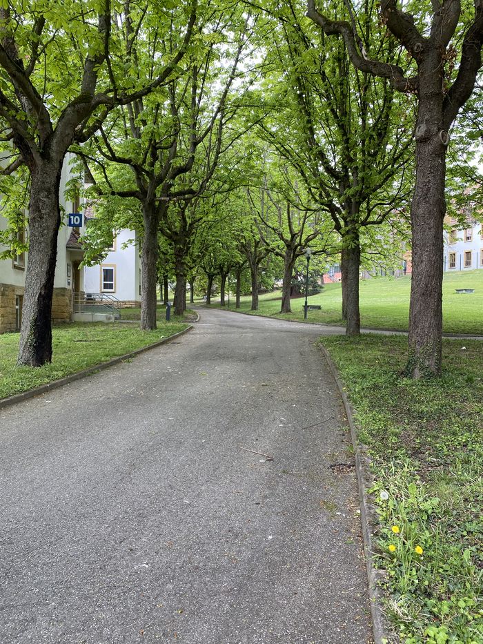 Auf den 26 Hektar des Parks. Bewundern Sie die Leistungen der Gärtner, die sich jedes Jahr zu erneuern wissen und Besucher und Fachleute des Ortes zu überraschen. Nehmen Sie sich Zeit für die...