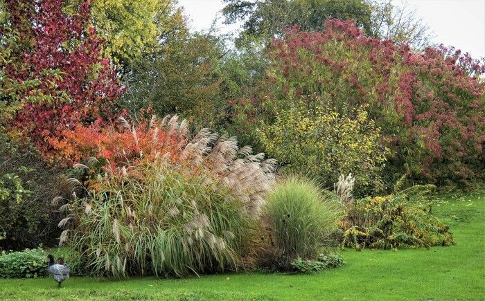 Kommentierte Besichtigung des Jardin de L'Eau Vive um 15 Uhr. Freier Besuch von 14 bis 19 Uhr.