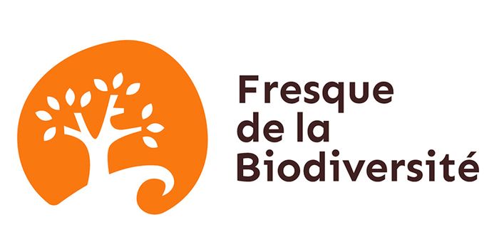 Découvrez au travers d'un atelier ludique et collaboratif l'aspect systémique de l'érosion de la biodiversité : ce qu’elle est, ce qu’elle permet et ce qui la dégrade.