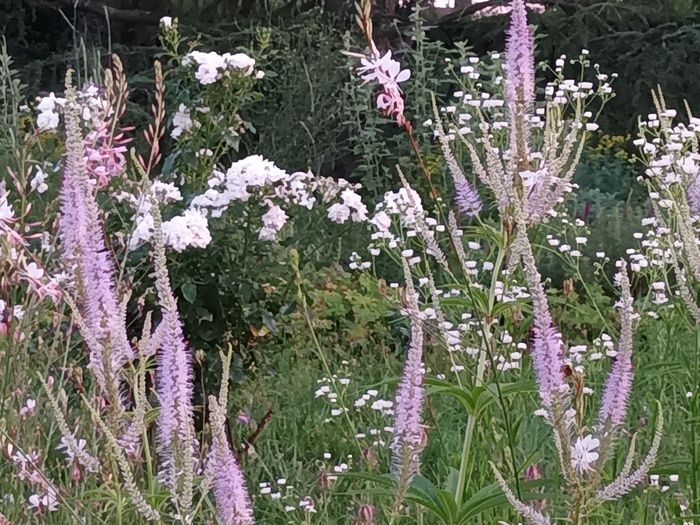 Anlässlich der Rendez-vous aux jardins 2024 bietet die Besitzerin des Jardin de Saint-Odilon einen Workshop für Grund- oder Mittelschulklassen an. Eine Zeit, um unsere Re...