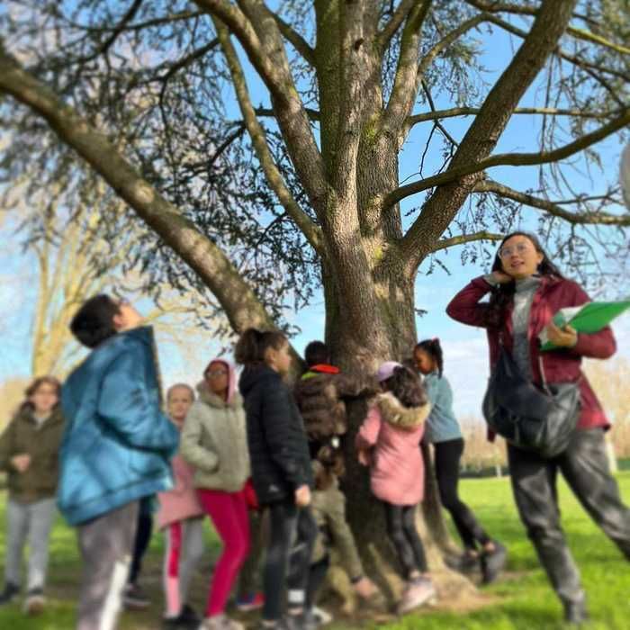 ATELIER / Un atelier ludique et sensoriel à faire en famille pour découvrir les arbres qui nous entourent !