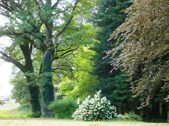 Mit einem Plan und einer Beschreibung, um Sie während Ihres Besuchs zu begleiten, entdecken Sie das Arboretum, seine Landschaften, seine Fabriken, seinen Obstgarten, seinen Pfarrgarten, seine Kapelle.