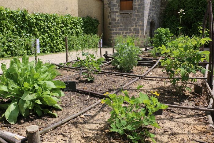 Nach einem kleinen Rundgang durch den mittelalterlich inspirierten Garten können Kinder ein kleines Pflanzgefäß mit Heil- und Aromapflanzen anfertigen.