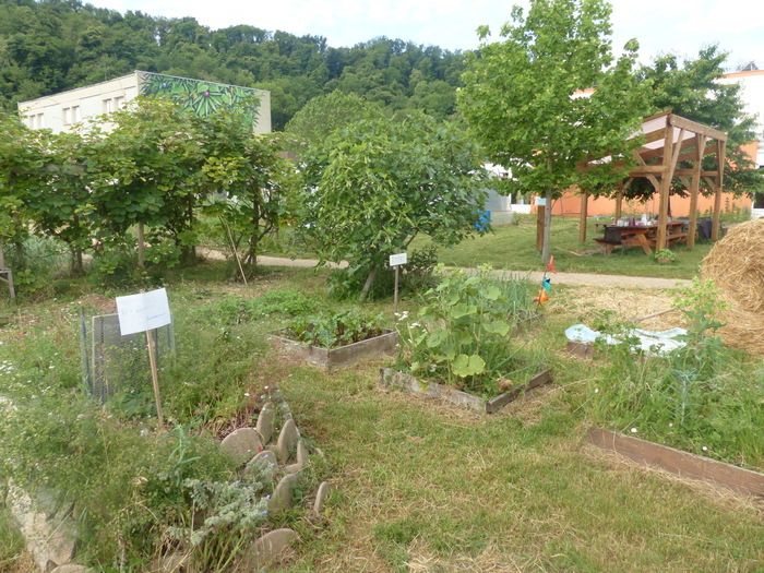 Meditativer Workshop für eine Rückkehr zur Ruhe auf halbem Weg zwischen sanftem Yoga und naturalistischen Kontemplationen. Wenn das Wetter es zulässt, planen Sie, die Zeit des Ateli barfuß zu bewegen.