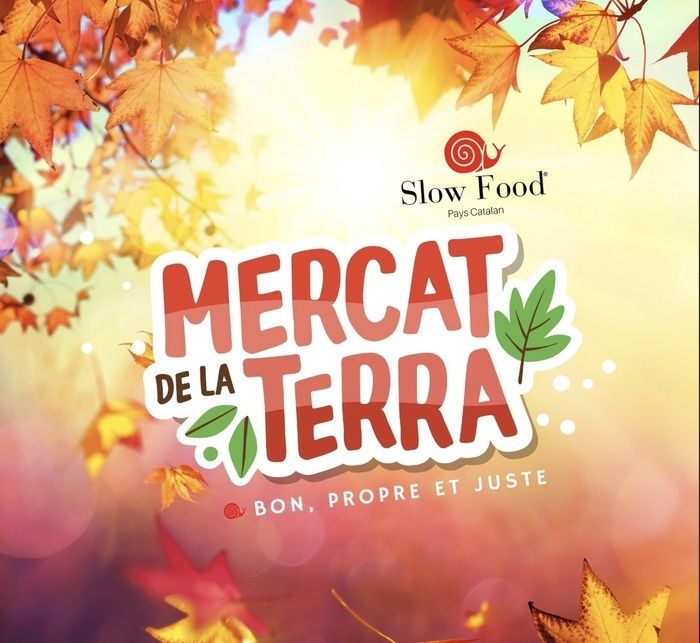 Mercat de la Terra