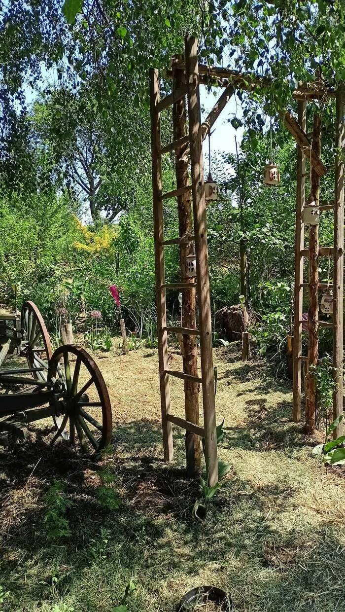 Entdecken Sie unseren Garten, in dem wir alle unsere Leidenschaften bündeln möchten. Sebastian, der der Gärtner und Landschaftsgärtner ist, wird Sie (ac)pflücken und Sie in seine Welt führen.