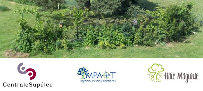 L’association étudiante Impact organise la plantation d'une haie mellifère dimanche 23 février à partir de 10h, derrière le bâtiment Bréguet.