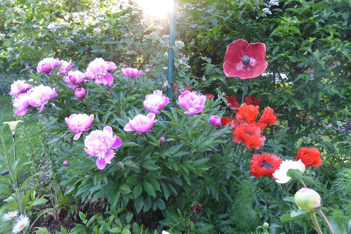 Verweilen im naturnahen Reihenhausgarten