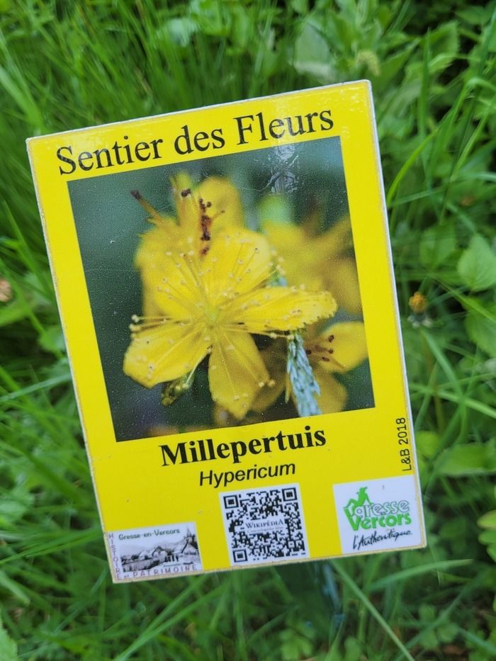 Im Rahmen von Rendez-vous aux Jardins lädt Sie Chloé Laroche ein, den Blumenweg von Gresse-en-Vercors zu entdecken, der einen spielerischen Blumenparcours mit einem Violinkonzert auf einem Spaziergang