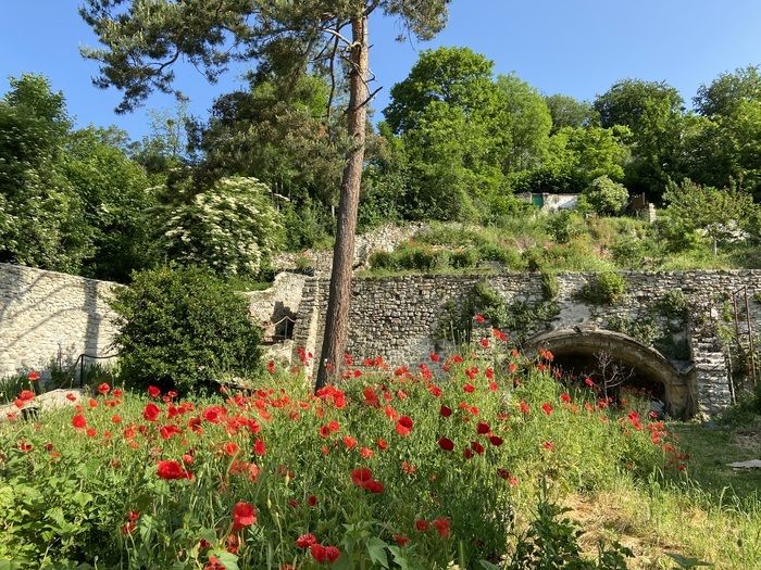 Zwei angrenzende Gärten im Zentrum der Stadt, auf 1.800 m² werden geöffnet: der Garten der Lerche und der Garten Jacopin, zu Füßen der Mauern des alten Schlosses zu entdecken. Der Garten Jacopin hat..