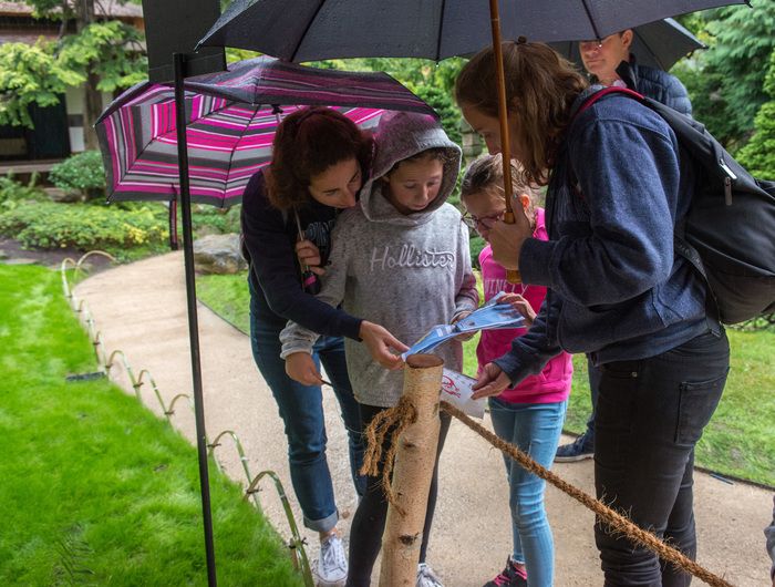 Ob mit der Familie, mit Freunden oder allein, führen Sie die Ermittlungen durch, um den Museumsmitarbeitern zu helfen, den Autodieb zu finden! Inspiriert vom Cluedo © müssen die Teilnehmer die Gäste v