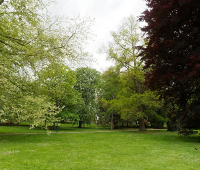 Grasmücke mit schwarzem Kopf, Taschenlampe, Kohlmeise, Gartenkletterer, Rotkehlchen, Epeiche-Spitze, Baumfinken, eleganter Stierkampf... Die Bewohner der Parks geben Ihnen...