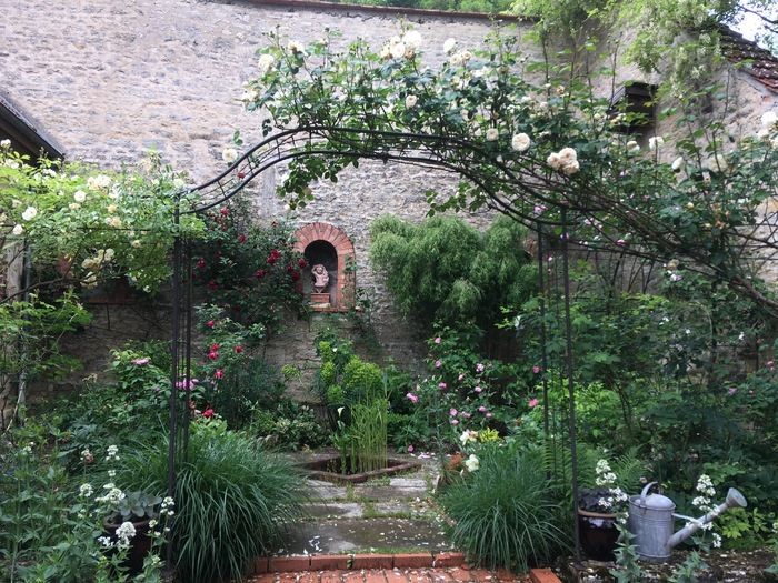 Anlässlich der Rendez-vous aux jardins 2024 besuchen Sie den Garten «Petit lavoir» am Fluss im Dorf Bèze, zwischen der Abtei und den Höhlen der Vaucluse-Quelle.