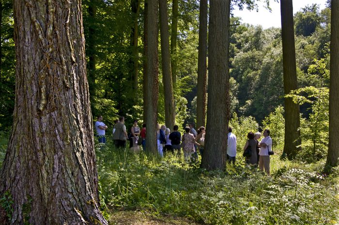 Gehen Sie in die Entdeckung der Bäume und der Vögel in den Park des Priorats von Cons-La-Grandville. Eine Führung des Schlosses wird um 15 Uhr 30 (Zahlenden) ebenfalls angeboten.