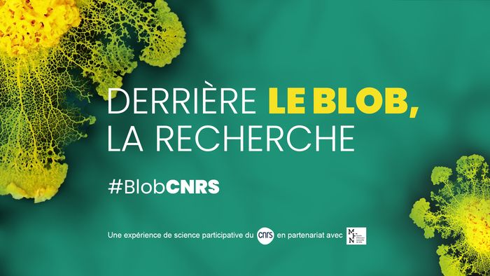 Week-end Evénement  « Derrière le blob, la recherche » - Rencontre avec Daniel Hennequin